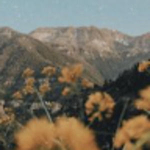 Meet your Posher, Evie